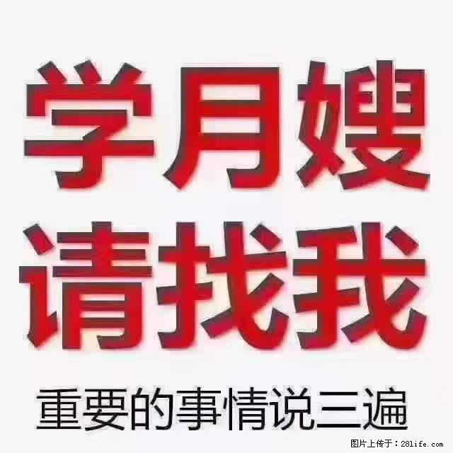 为什么要学习月嫂,育婴师? - 新手上路 - 秦皇岛生活社区 - 秦皇岛28生活网 qhd.28life.com