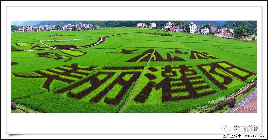 【春天,广西桂林灌阳县向您发出邀请!】开篇 - 游山玩水 - 秦皇岛生活社区 - 秦皇岛28生活网 qhd.28life.com