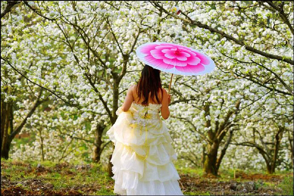 【春天,广西桂林灌阳县向您发出邀请!】我们在灌阳看梨花 - 游山玩水 - 秦皇岛生活社区 - 秦皇岛28生活网 qhd.28life.com