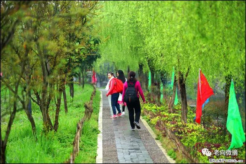 【春天,广西桂林灌阳县向您发出邀请!】江口老街又逢春 - 游山玩水 - 秦皇岛生活社区 - 秦皇岛28生活网 qhd.28life.com