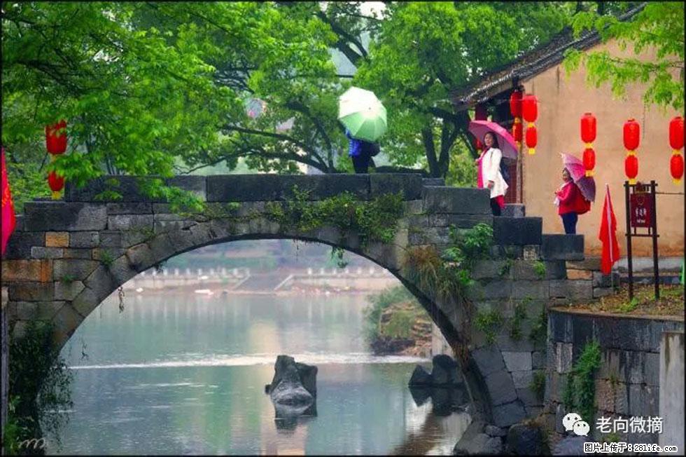 【春天,广西桂林灌阳县向您发出邀请!】江口老街又逢春 - 游山玩水 - 秦皇岛生活社区 - 秦皇岛28生活网 qhd.28life.com