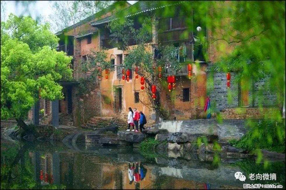 【春天,广西桂林灌阳县向您发出邀请!】江口老街又逢春 - 游山玩水 - 秦皇岛生活社区 - 秦皇岛28生活网 qhd.28life.com