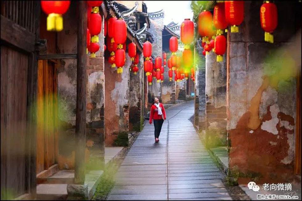 【春天,广西桂林灌阳县向您发出邀请!】江口老街又逢春 - 游山玩水 - 秦皇岛生活社区 - 秦皇岛28生活网 qhd.28life.com