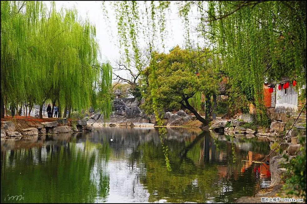 【春天,广西桂林灌阳县向您发出邀请!】江口老街又逢春 - 游山玩水 - 秦皇岛生活社区 - 秦皇岛28生活网 qhd.28life.com