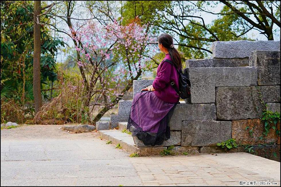 【春天,广西桂林灌阳县向您发出邀请!】江口老街又逢春 - 游山玩水 - 秦皇岛生活社区 - 秦皇岛28生活网 qhd.28life.com