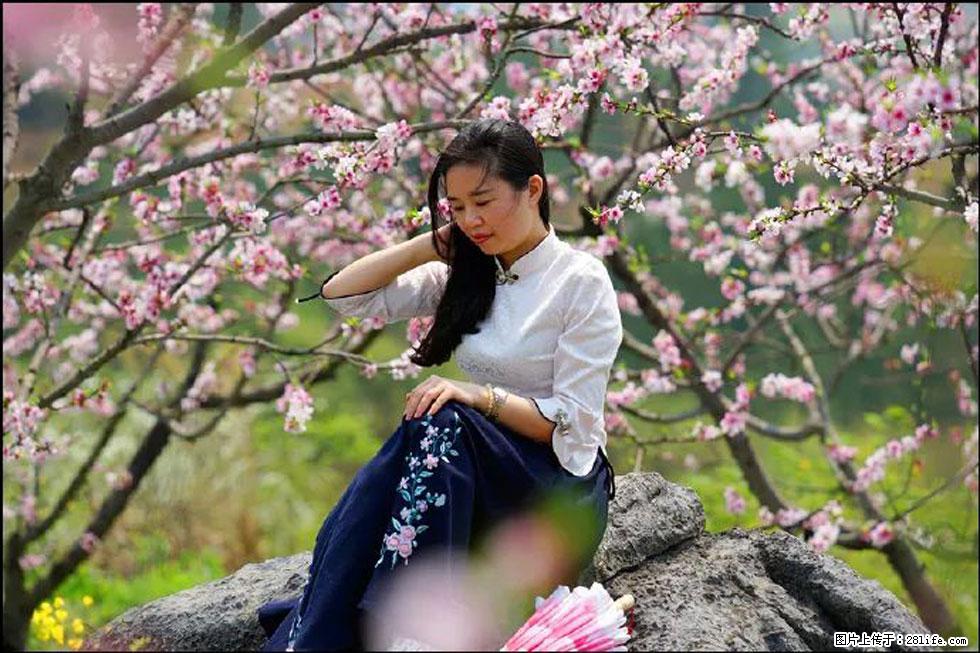 【春天,广西桂林灌阳县向您发出邀请!】望月岭上桃花开 - 游山玩水 - 秦皇岛生活社区 - 秦皇岛28生活网 qhd.28life.com