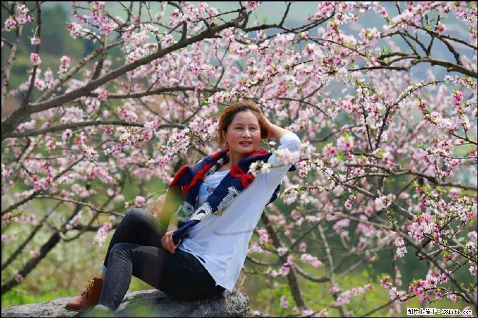 【春天,广西桂林灌阳县向您发出邀请!】望月岭上桃花开 - 游山玩水 - 秦皇岛生活社区 - 秦皇岛28生活网 qhd.28life.com