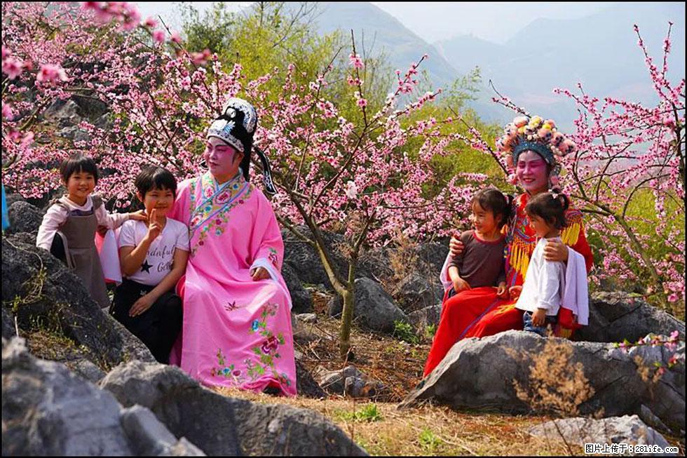 【春天,广西桂林灌阳县向您发出邀请!】望月岭上桃花开 - 游山玩水 - 秦皇岛生活社区 - 秦皇岛28生活网 qhd.28life.com