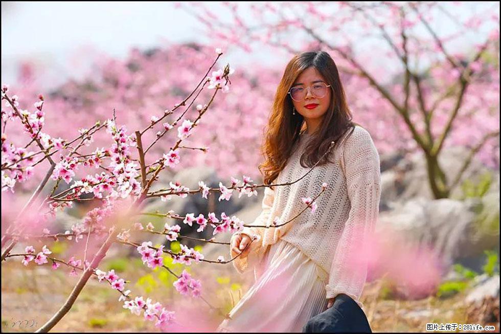 【春天,广西桂林灌阳县向您发出邀请!】望月岭上桃花开 - 游山玩水 - 秦皇岛生活社区 - 秦皇岛28生活网 qhd.28life.com