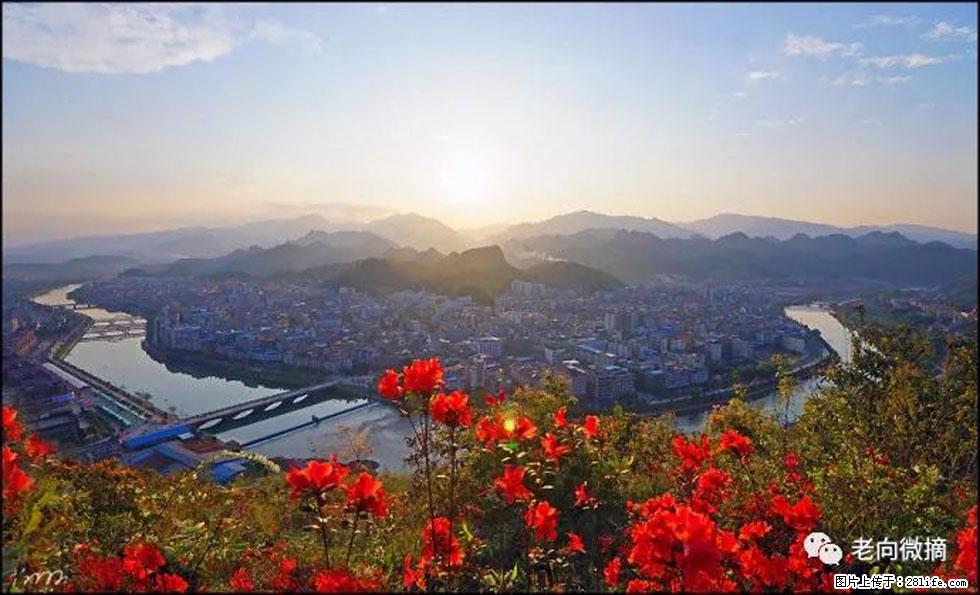 【春天,广西桂林灌阳县向您发出邀请!】登麒麟山,相约映山红 - 游山玩水 - 秦皇岛生活社区 - 秦皇岛28生活网 qhd.28life.com