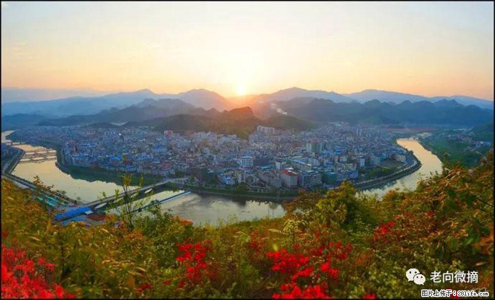 【春天,广西桂林灌阳县向您发出邀请!】登麒麟山,相约映山红 - 游山玩水 - 秦皇岛生活社区 - 秦皇岛28生活网 qhd.28life.com