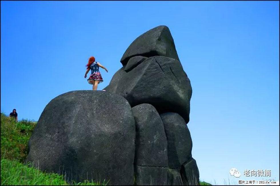 【春天,广西桂林灌阳县向您发出邀请!】宝盖山上映山红 - 游山玩水 - 秦皇岛生活社区 - 秦皇岛28生活网 qhd.28life.com