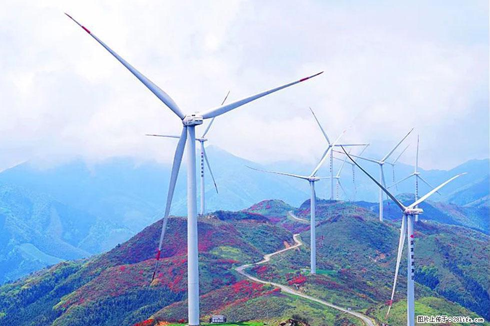 【春天,广西桂林灌阳县向您发出邀请!】春木界上映山红 - 游山玩水 - 秦皇岛生活社区 - 秦皇岛28生活网 qhd.28life.com