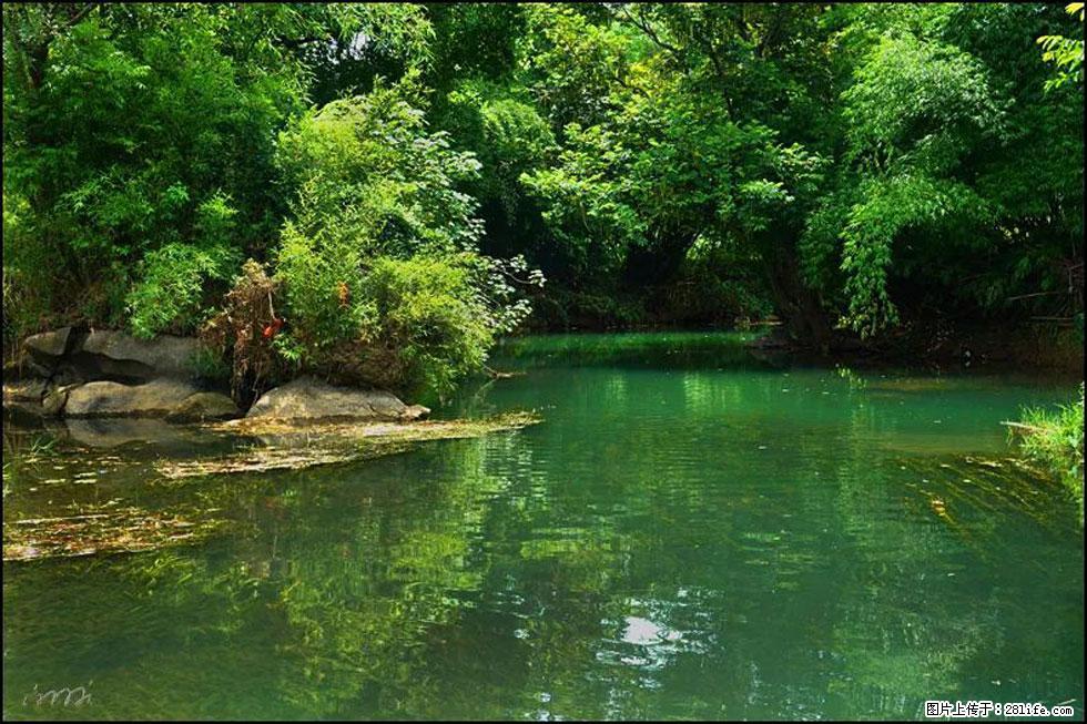 【春天，广西桂林灌阳县向您发出邀请！】如梦似幻莲溪庐 - 游山玩水 - 秦皇岛生活社区 - 秦皇岛28生活网 qhd.28life.com