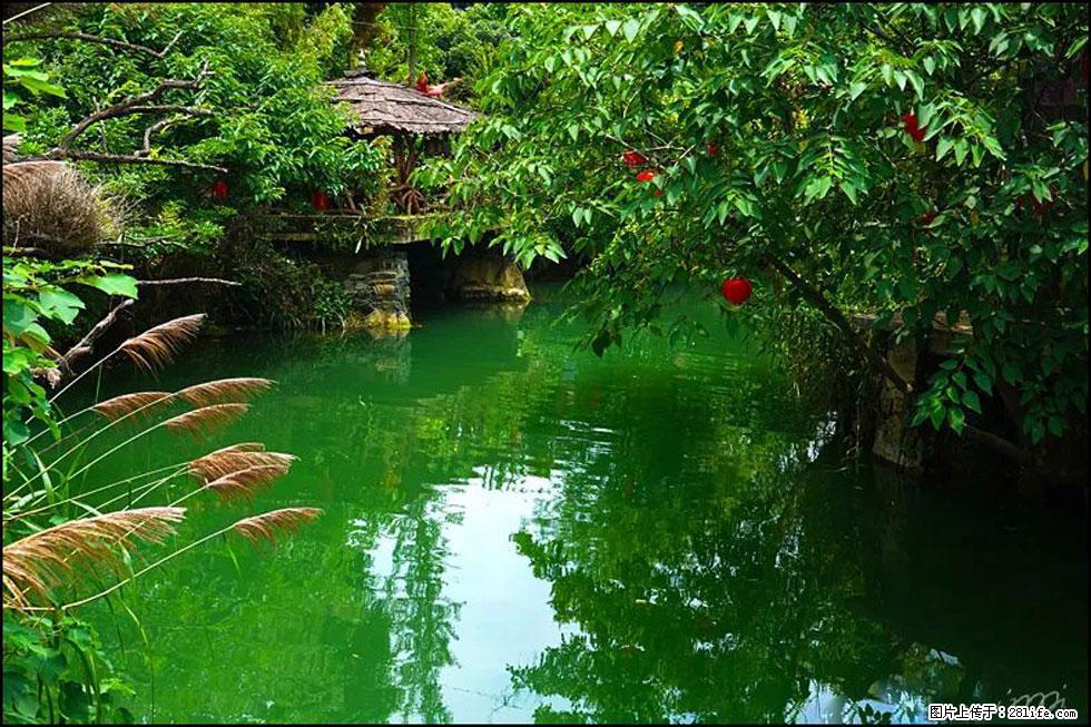 【春天，广西桂林灌阳县向您发出邀请！】如梦似幻莲溪庐 - 游山玩水 - 秦皇岛生活社区 - 秦皇岛28生活网 qhd.28life.com