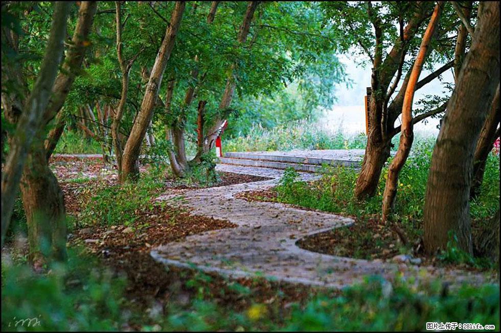 【春天,广西桂林灌阳县向您发出邀请!】熊家寨湿地公园 - 游山玩水 - 秦皇岛生活社区 - 秦皇岛28生活网 qhd.28life.com