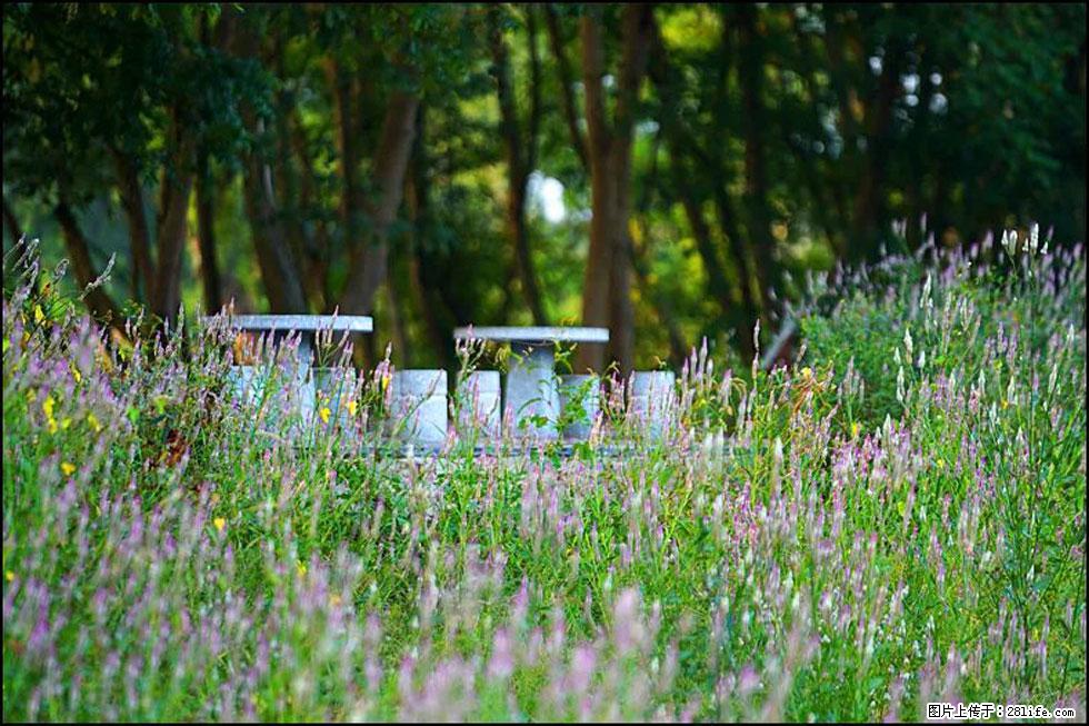 【春天,广西桂林灌阳县向您发出邀请!】熊家寨湿地公园 - 游山玩水 - 秦皇岛生活社区 - 秦皇岛28生活网 qhd.28life.com