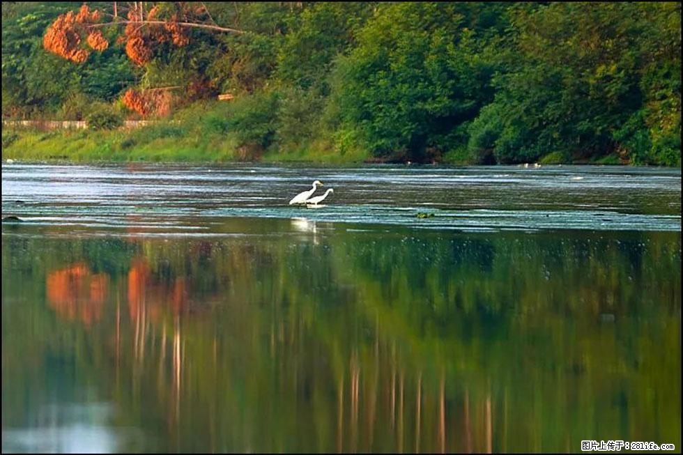 【春天,广西桂林灌阳县向您发出邀请!】熊家寨湿地公园 - 游山玩水 - 秦皇岛生活社区 - 秦皇岛28生活网 qhd.28life.com