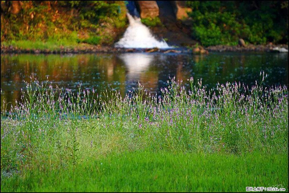 【春天,广西桂林灌阳县向您发出邀请!】熊家寨湿地公园 - 游山玩水 - 秦皇岛生活社区 - 秦皇岛28生活网 qhd.28life.com