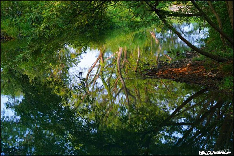 【春天,广西桂林灌阳县向您发出邀请!】熊家寨湿地公园 - 游山玩水 - 秦皇岛生活社区 - 秦皇岛28生活网 qhd.28life.com