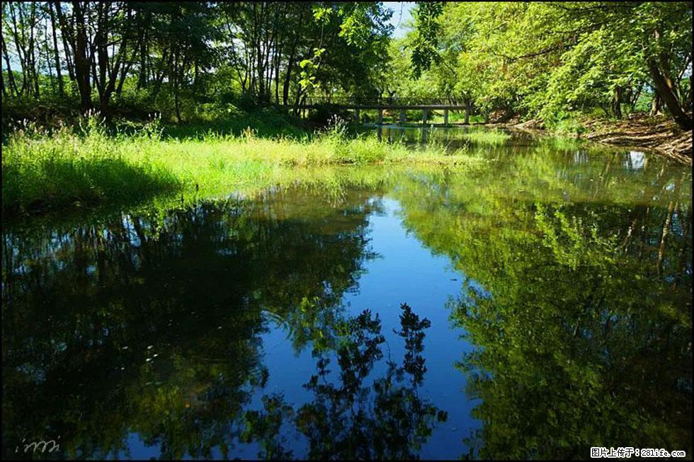 【春天,广西桂林灌阳县向您发出邀请!】熊家寨湿地公园 - 游山玩水 - 秦皇岛生活社区 - 秦皇岛28生活网 qhd.28life.com