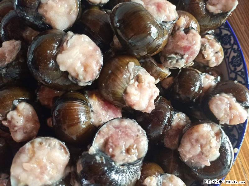 (舌尖上的乡村)灌阳:让人口齿留香的田螺酿 - 2023年07月31日 桂林日报第6版刊发 - 美食天地 - 秦皇岛生活社区 - 秦皇岛28生活网 qhd.28life.com