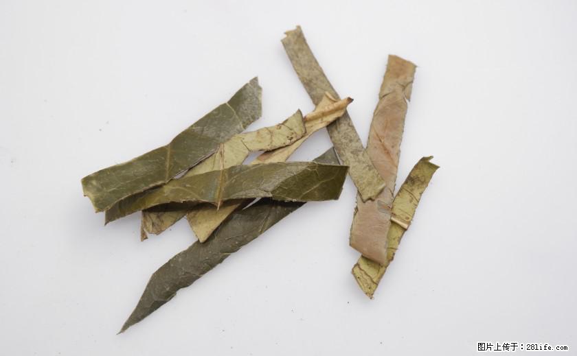 苦丁茶有哪些功效和作用 - 生活百科 - 秦皇岛生活社区 - 秦皇岛28生活网 qhd.28life.com