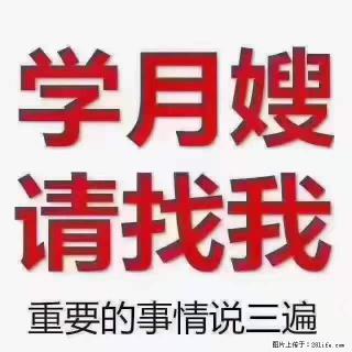 为什么要学习月嫂，育婴师？ - 秦皇岛28生活网 qhd.28life.com