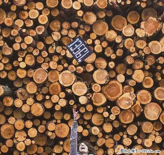 辞掉工作周游世界?现在他们在洗厕所…… - 游山玩水 - 秦皇岛生活社区 - 秦皇岛28生活网 qhd.28life.com