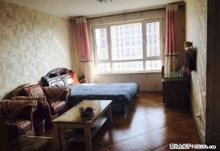 银都广场 一室精装 12000包物业 - 秦皇岛28生活网 qhd.28life.com
