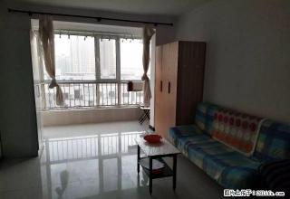 明日星城 一室 可季租 半年租 年租齐全 - 秦皇岛28生活网 qhd.28life.com