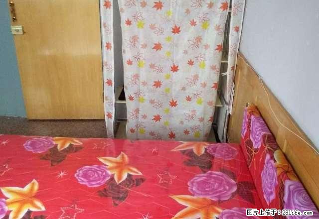 (单间出租)月付月付1楼有下房和安里包暖气宽带次卧朝阳交通便利位置好 - 房屋出租 - 房屋租售 - 秦皇岛分类信息 - 秦皇岛28生活网 qhd.28life.com