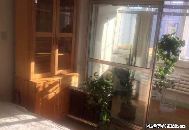 新建树三居出租,谁看谁相中，拎包即住，家具家电全，房子很干净 - 房屋出租 - 房屋租售 - 秦皇岛分类信息 - 秦皇岛28生活网 qhd.28life.com