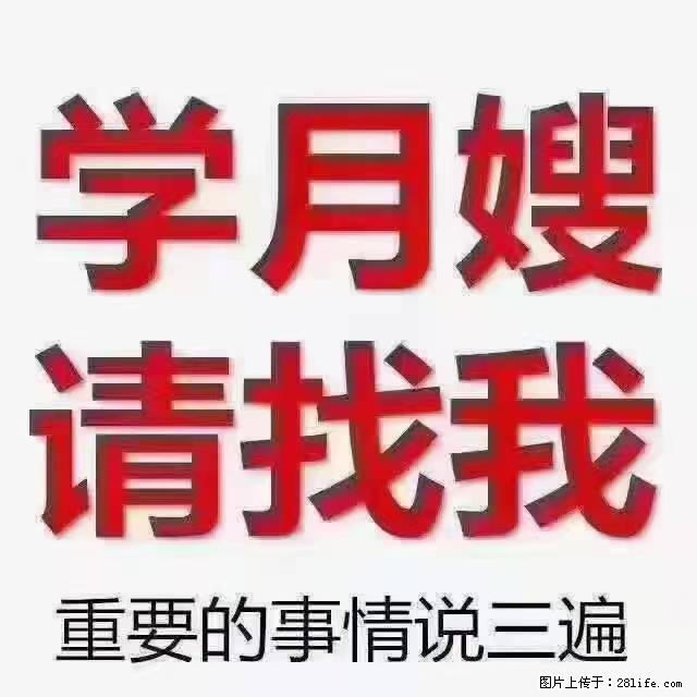 【招聘】月嫂,上海徐汇区 - 职场交流 - 秦皇岛生活社区 - 秦皇岛28生活网 qhd.28life.com