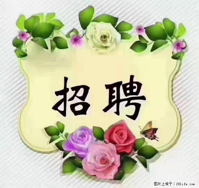 【招聘】住家育儿嫂,上户日期:4月4日,工作地址:上海 黄浦区 - 职场交流 - 秦皇岛生活社区 - 秦皇岛28生活网 qhd.28life.com