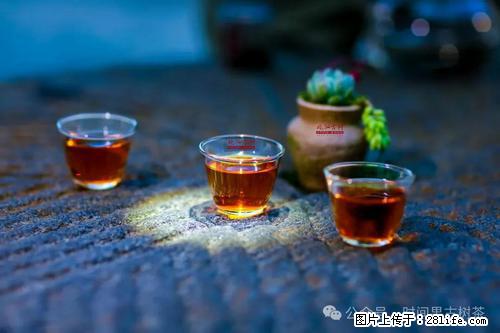 时间果百年古树2025年春红茶 - 购物交流 - 秦皇岛生活社区 - 秦皇岛28生活网 qhd.28life.com