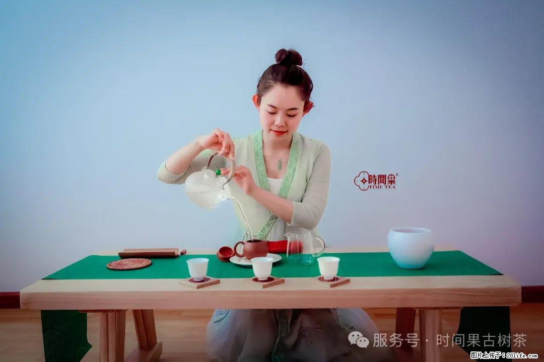 时间果百年古树龙珠普洱生茶 - 购物交流 - 秦皇岛生活社区 - 秦皇岛28生活网 qhd.28life.com