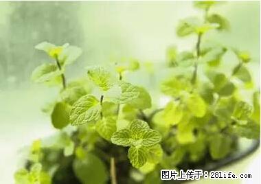 晕车、脚气、牙齿变黄、皮肤粗糙?学会这些三分钟搞定! - 秦皇岛生活资讯 - 秦皇岛28生活网 qhd.28life.com