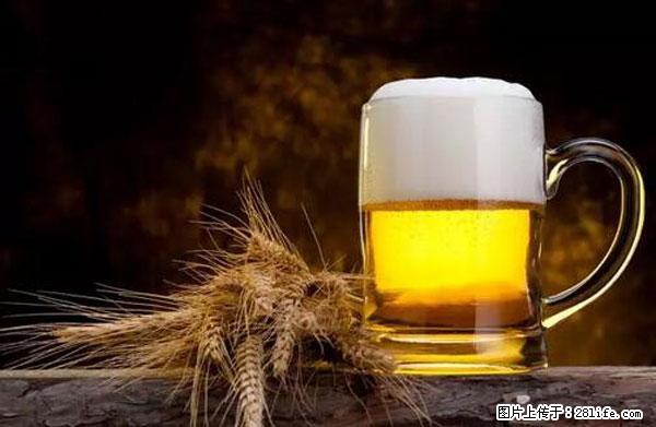 原来它这么毒,然而竟然满大街都是.... - 秦皇岛生活资讯 - 秦皇岛28生活网 qhd.28life.com