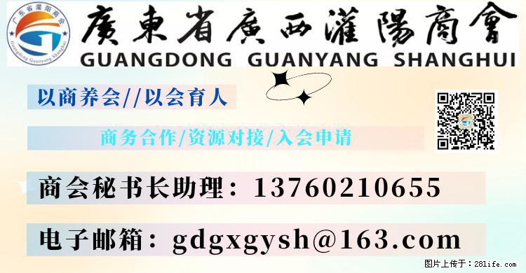 “粤灌文化 美好生活”油茶文化主题活动在广东深圳成功举办 - 秦皇岛生活资讯 - 秦皇岛28生活网 qhd.28life.com