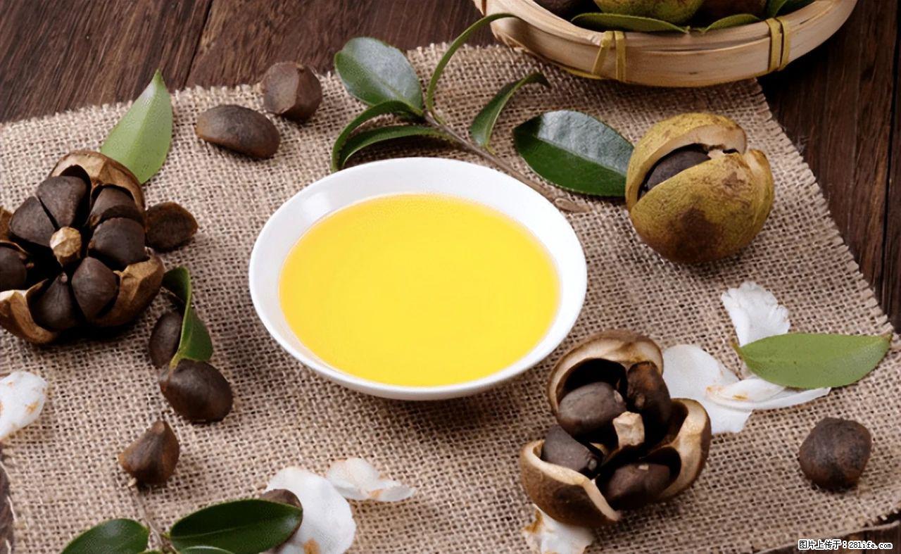 揭秘茶油的5大核心营养成分!被称为人体健康的“守护盾”! - 秦皇岛生活资讯 - 秦皇岛28生活网 qhd.28life.com