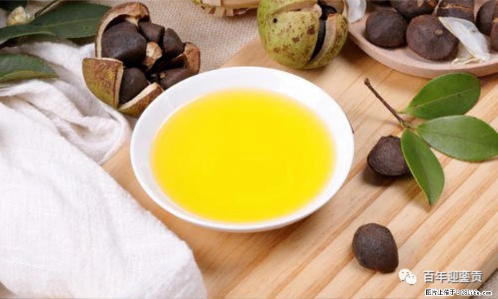 揭秘茶油的5大核心营养成分!被称为人体健康的“守护盾”! - 秦皇岛生活资讯 - 秦皇岛28生活网 qhd.28life.com