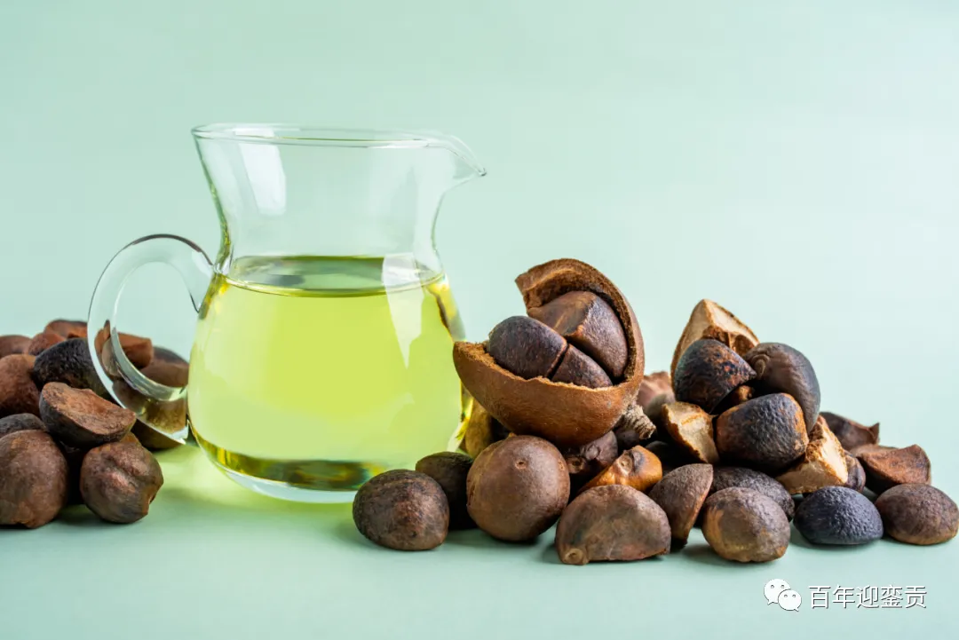 世界没有真相,只有认知,最好的食用油是中国的山茶油! - 秦皇岛生活资讯 - 秦皇岛28生活网 qhd.28life.com