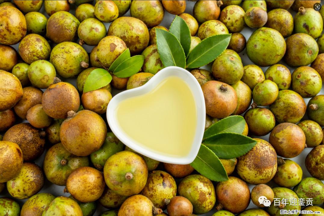 世界没有真相,只有认知,最好的食用油是中国的山茶油! - 秦皇岛生活资讯 - 秦皇岛28生活网 qhd.28life.com