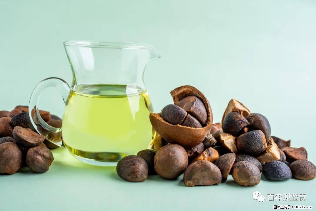 世界没有真相，只有认知，最好的食用油是中国的山茶油！ - 秦皇岛生活资讯 - 秦皇岛28生活网 qhd.28life.com