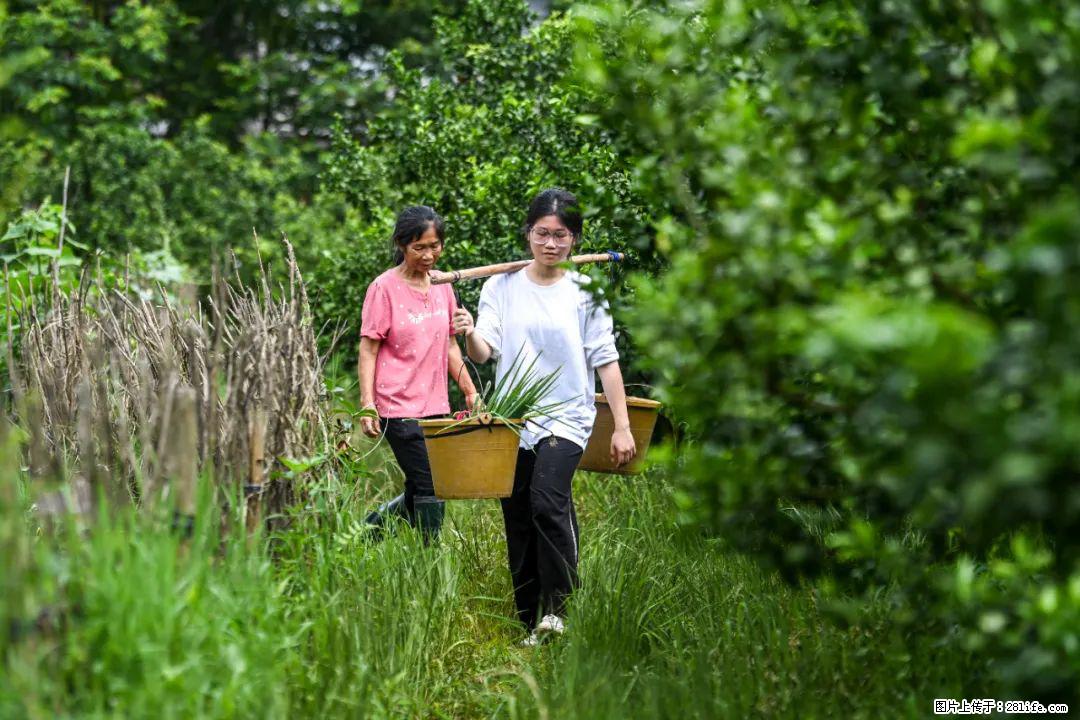 全网追的“扁担女孩”，找了一份暑假工，时薪12元 - 秦皇岛生活资讯 - 秦皇岛28生活网 qhd.28life.com
