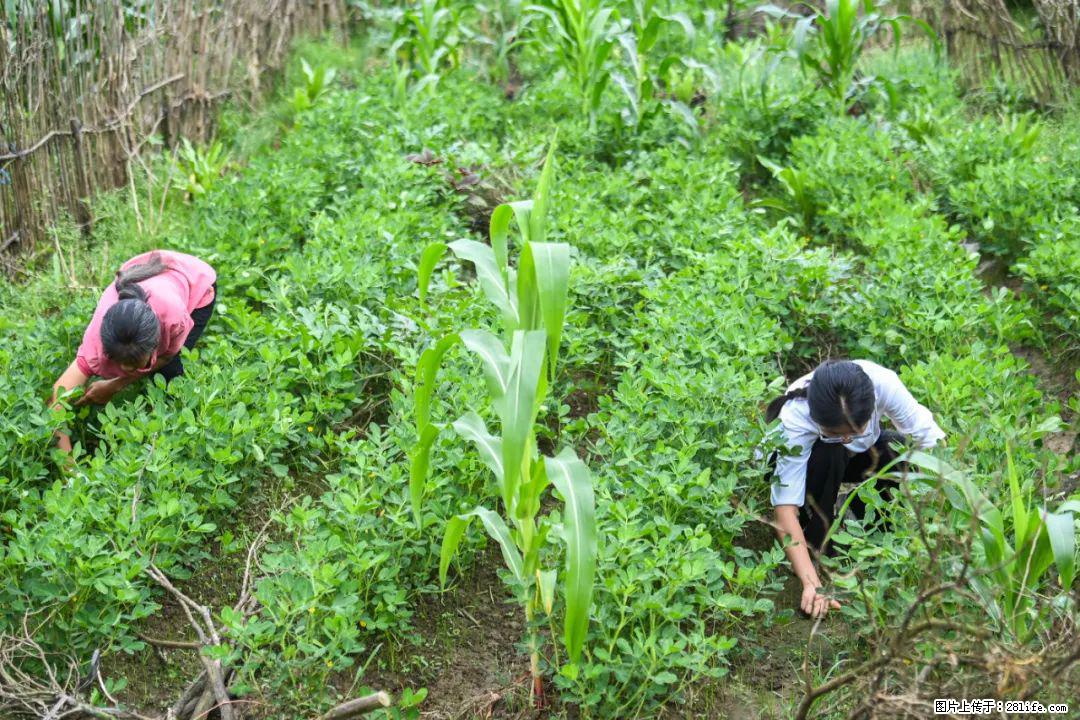 全网追的“扁担女孩”，找了一份暑假工，时薪12元 - 秦皇岛生活资讯 - 秦皇岛28生活网 qhd.28life.com