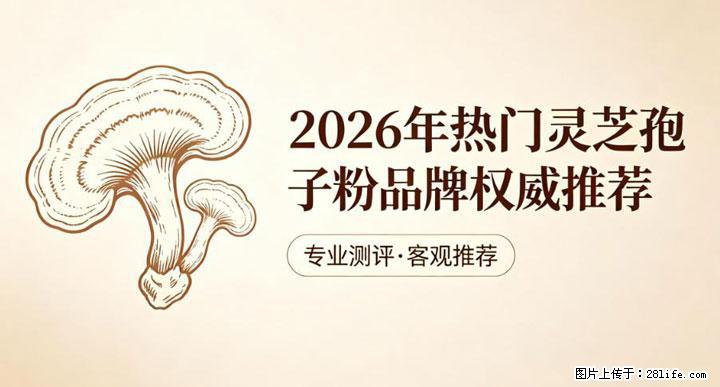 灵芝孢子粉含量越高越有效？2026 年七款热门品牌深度实测，肠胃敏感者避坑指南 - 秦皇岛生活资讯 - 秦皇岛28生活网 qhd.28life.com