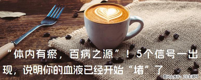“体内有瘀，百病之源”！5个信号一出现，说明你的血液已经开始“堵”了 - 秦皇岛生活资讯 - 秦皇岛28生活网 qhd.28life.com