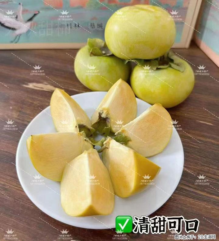 广西桂林平乐桥亭【红心猕猴桃】、【大秋甜柿】上市啦，欢迎各位新老客户下单（另有少量小果出售） - 秦皇岛生活资讯 - 秦皇岛28生活网 qhd.28life.com
